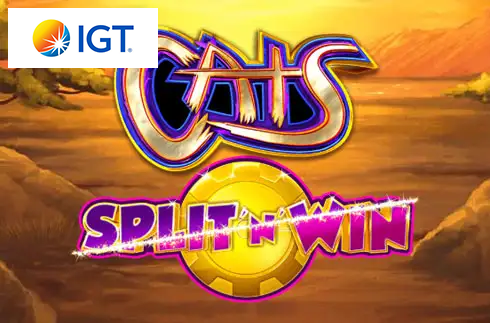 Cats Split 'n' Win
